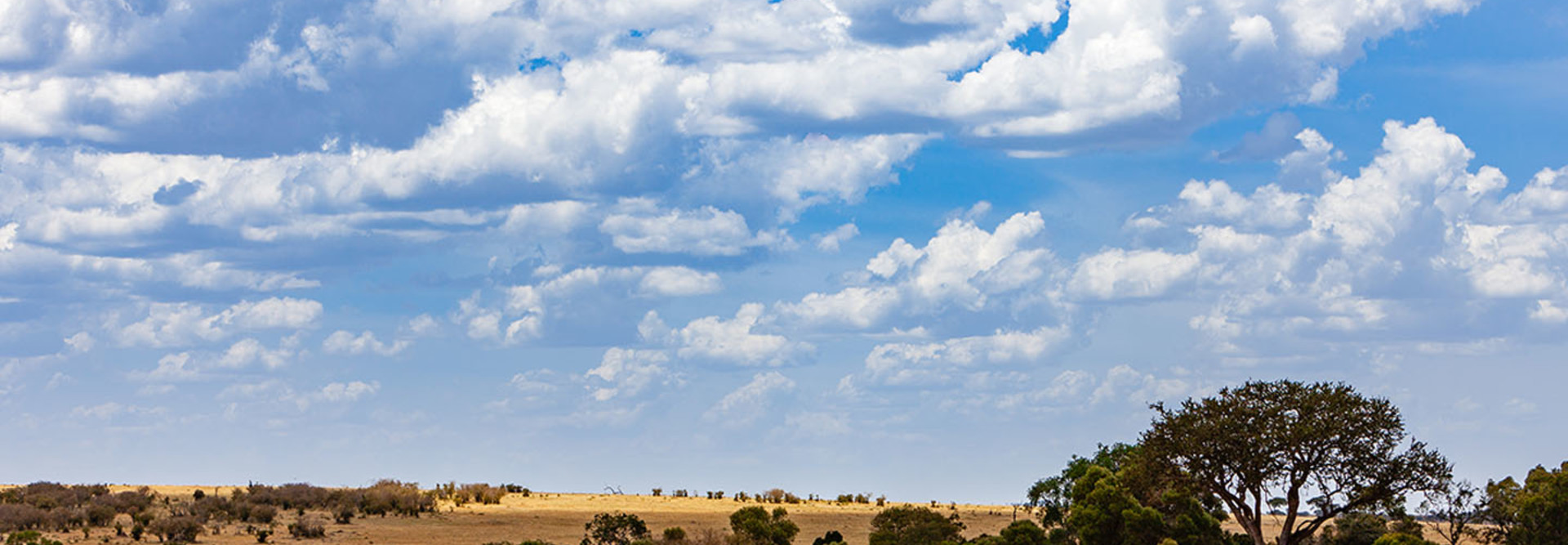 Multiple clouds.
