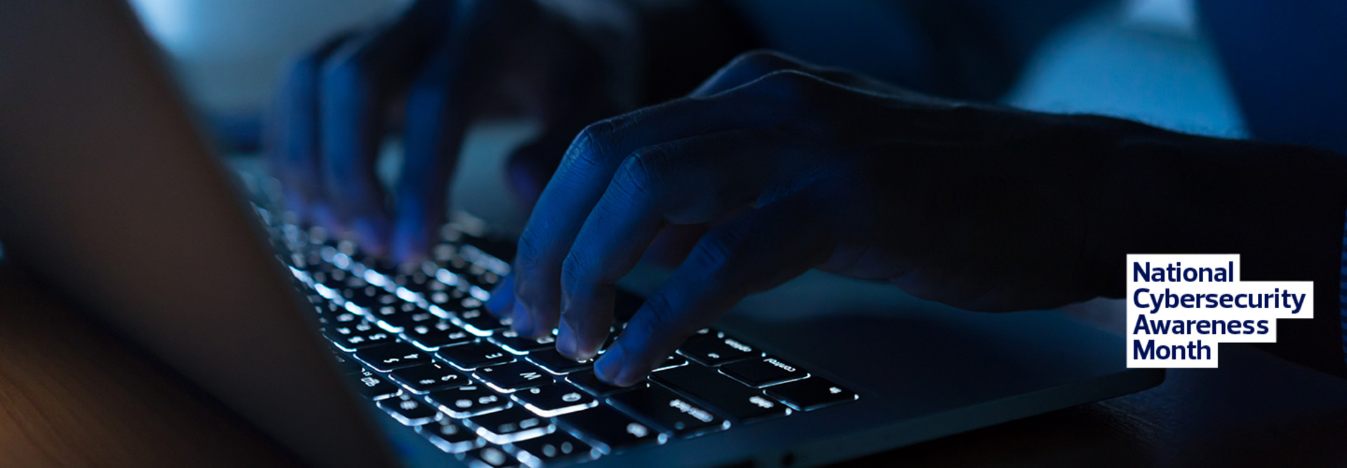 Person using laptop