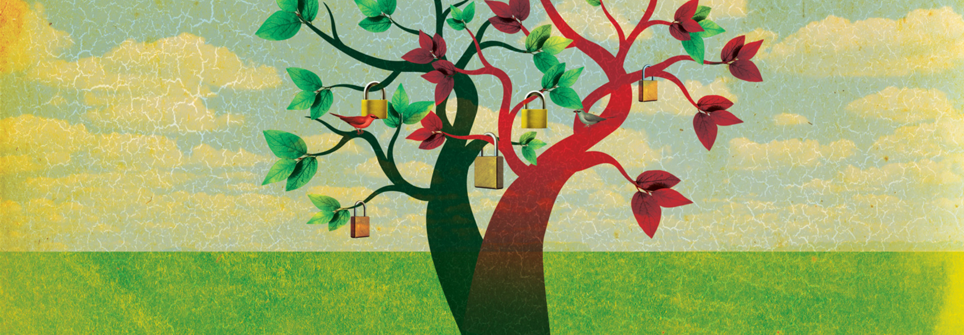 Illustration of tree with locks on branches to represent security
