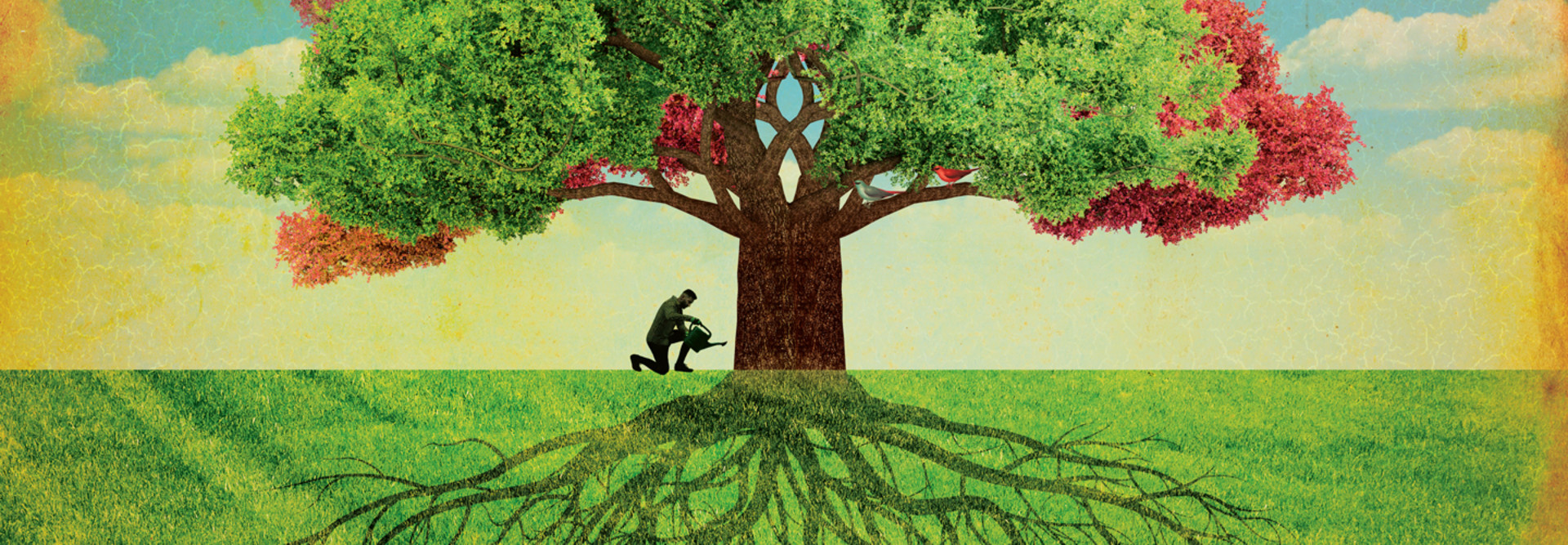 Mergers and acquisitions partnerships 