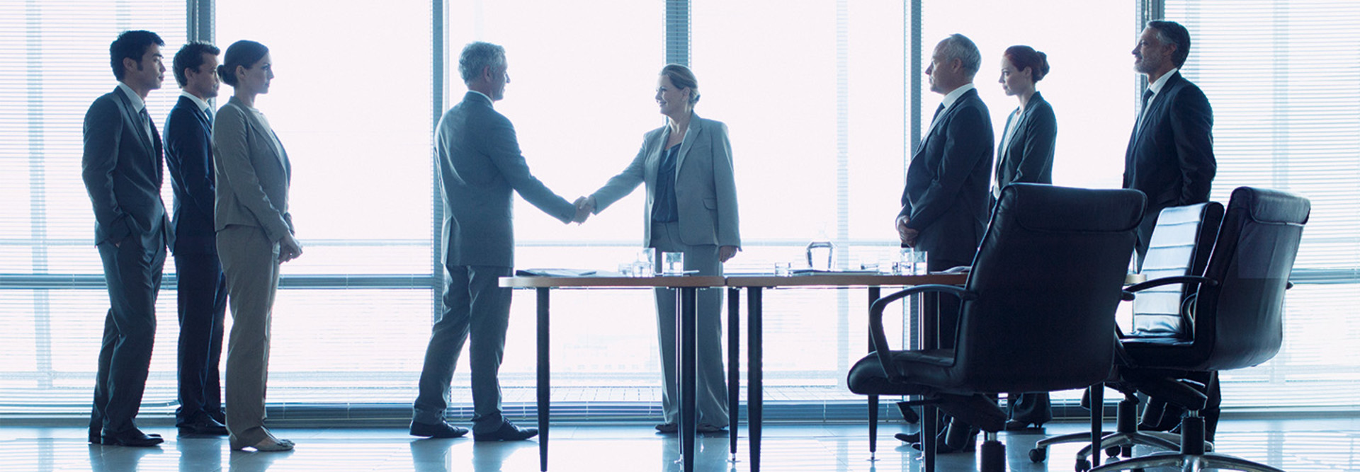 organization leads shake hands to signify merger