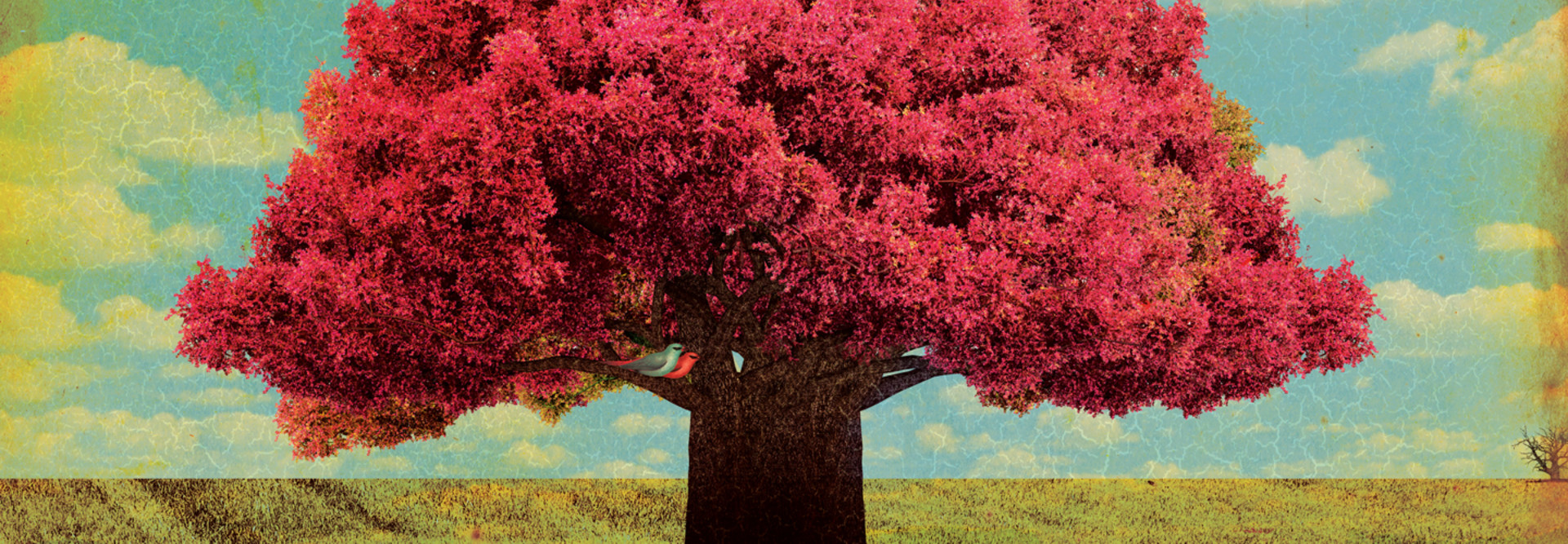 merger and acquisition concept with full tree