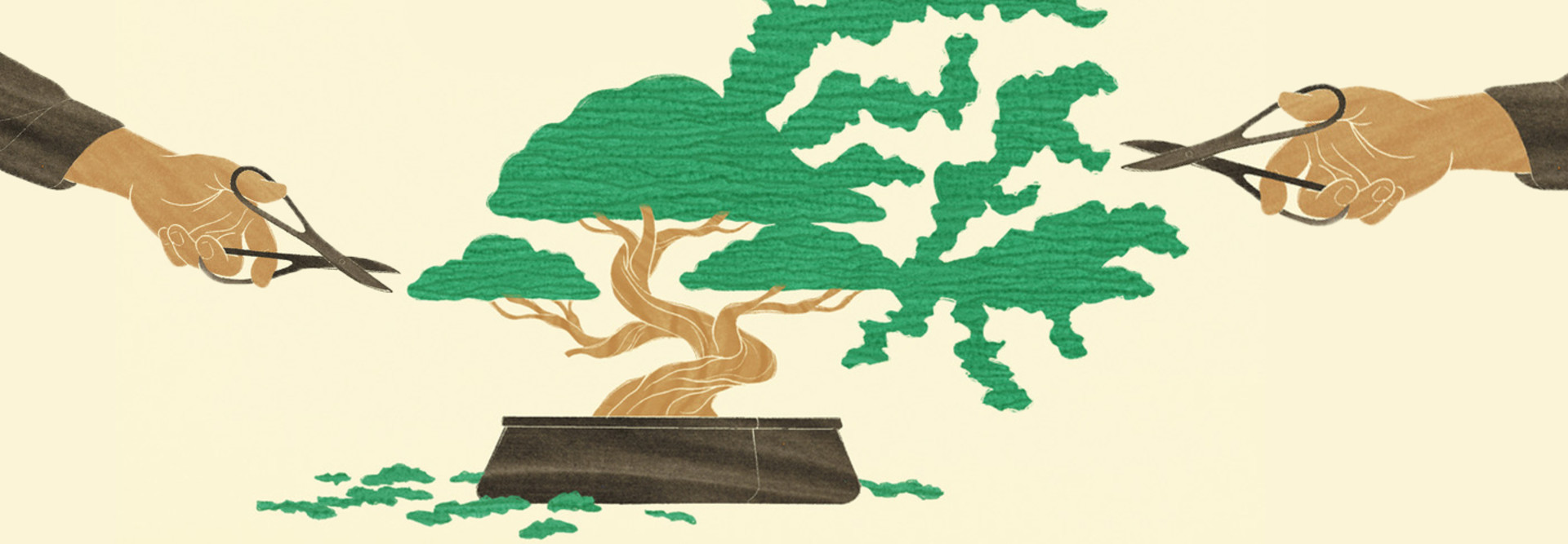 illustration of two hands trimming a bonsai tree with scissors