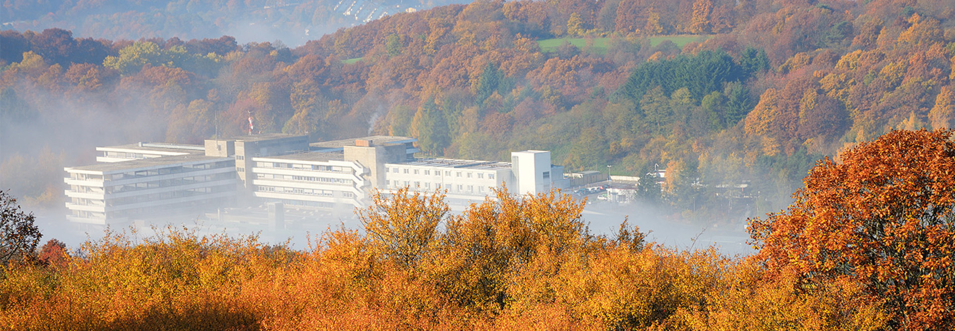 hospital located in foggy valley during fall