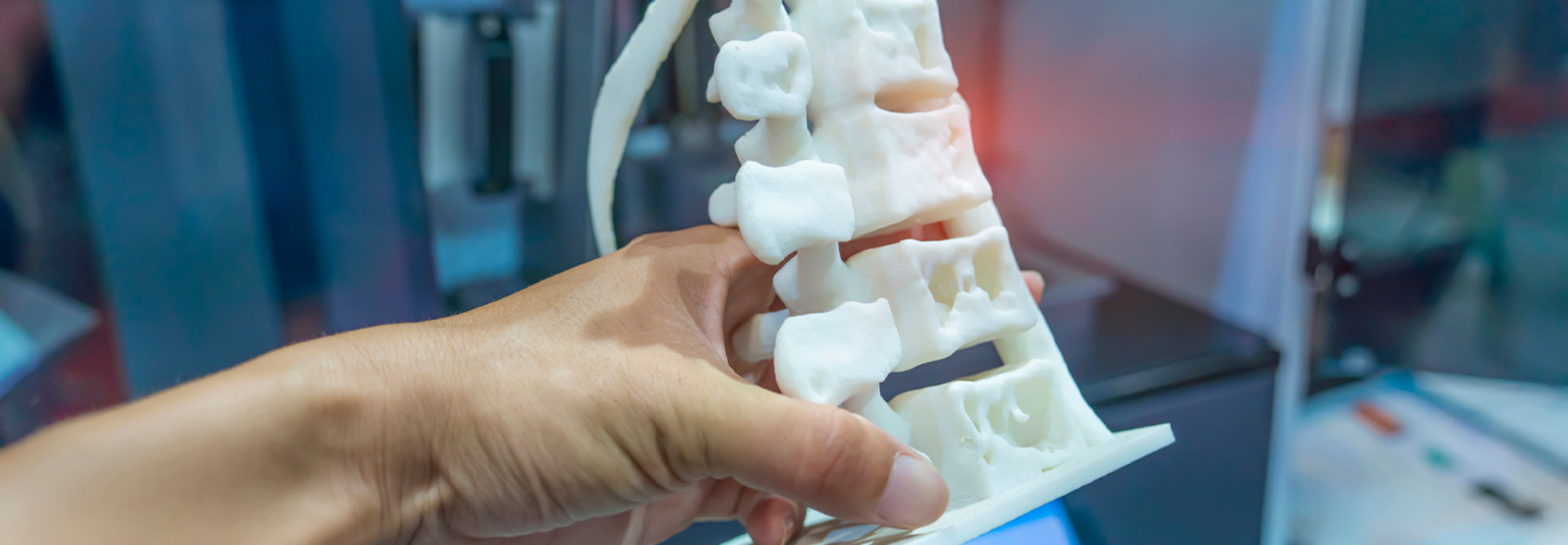 3D spinal column