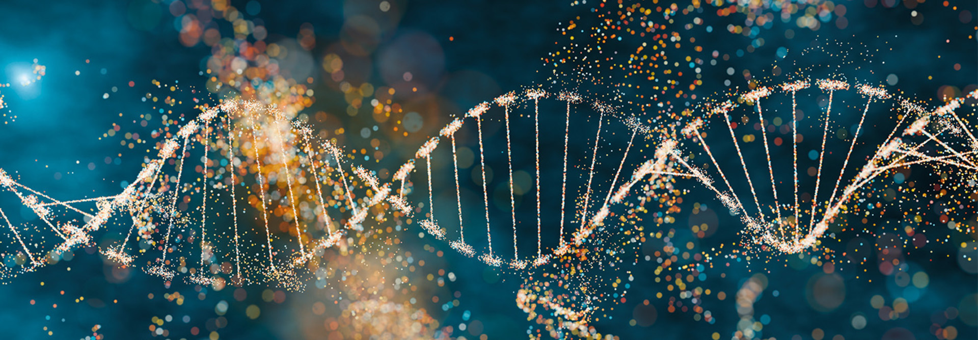 Illustration of DNA genome