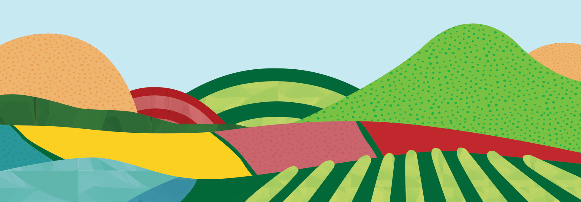 illustration of colorful farms and hills