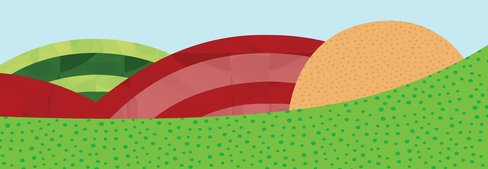 illustration of colorful hills and fields