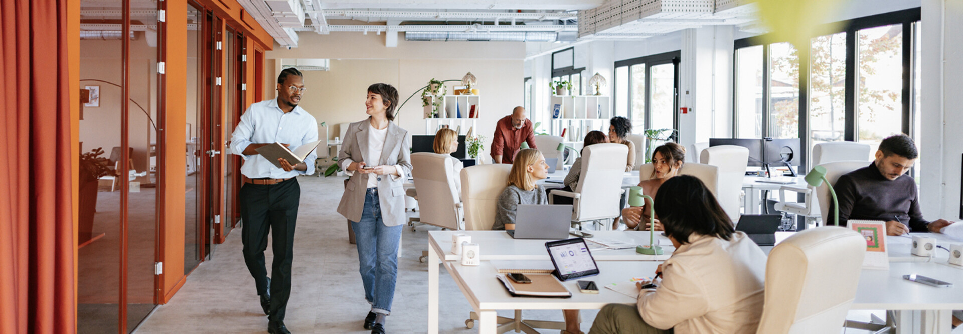 Office workers collaborating it