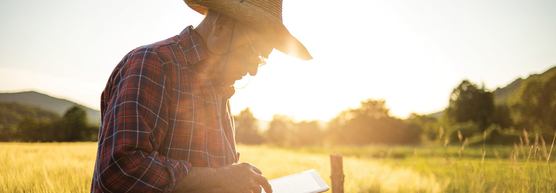 farmer on tablet in field at sunset