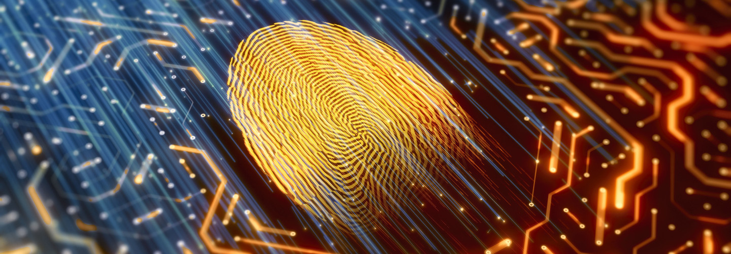 Biometric fingerprint