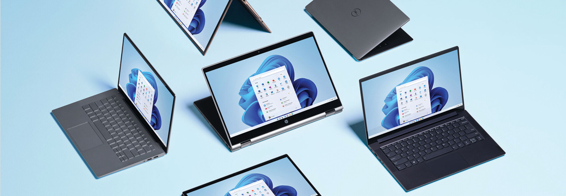 Several laptops with Windows 11 branding