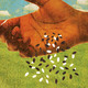 Mergers and Acquisitions Seed Planting