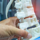 3D spinal column