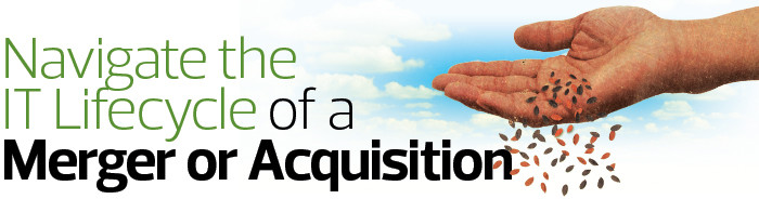 mergers and acquisitions sidebar illustration