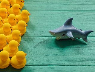 Cybersecurity Threats 