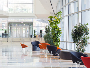 Modern lobby