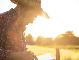 farmer on tablet in field at sunset