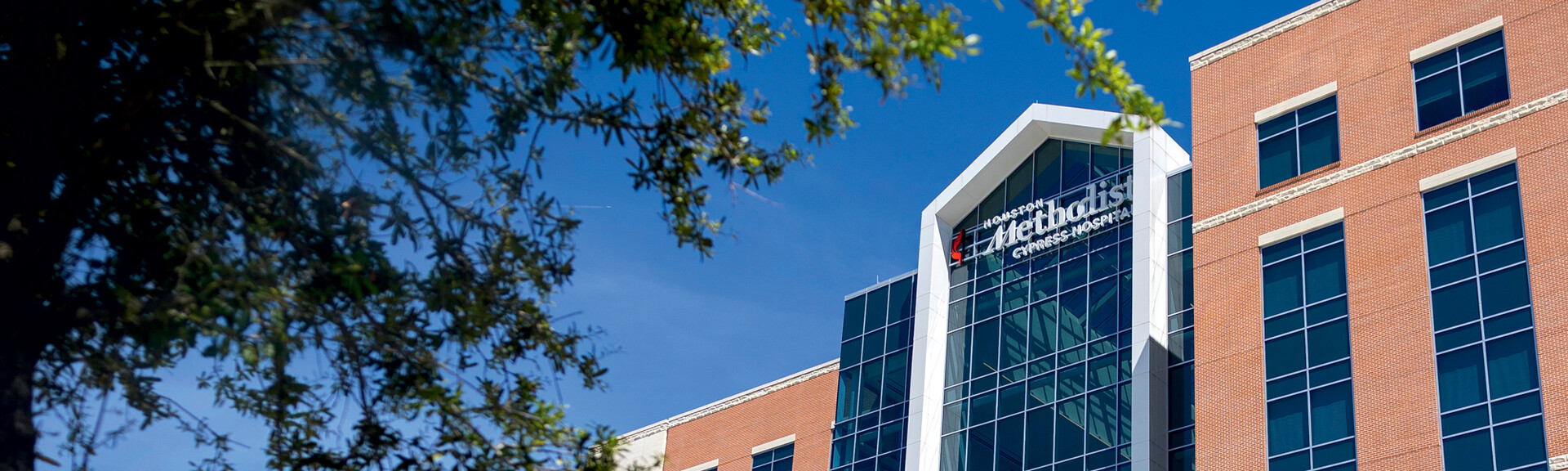 Houston Methodist