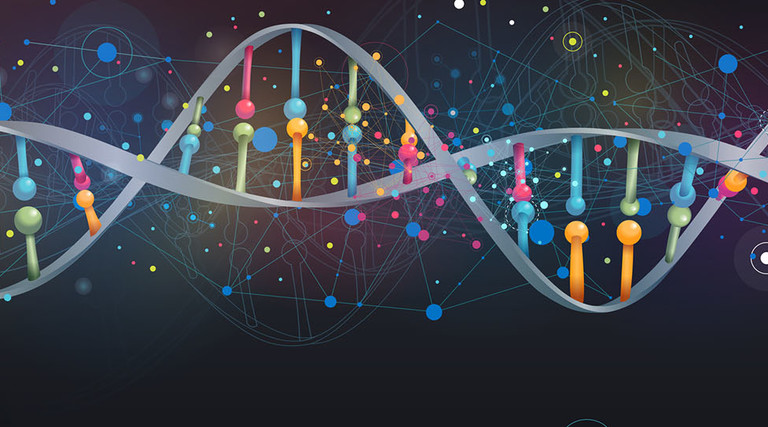 DNA