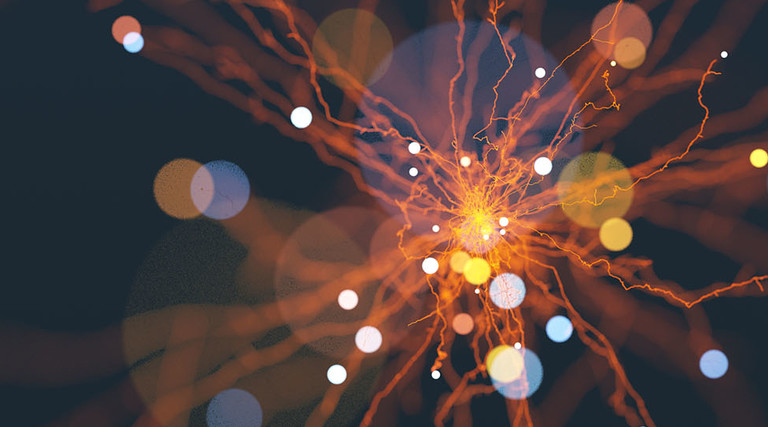 Abstract curly tendrils background.