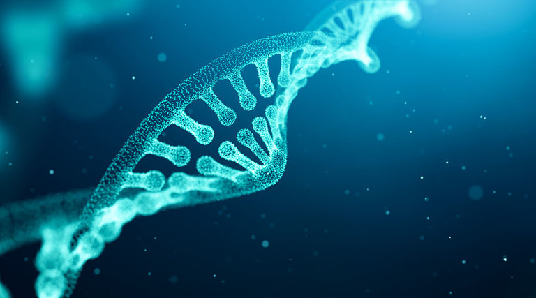 DNA