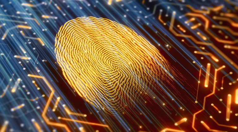 Biometric fingerprint