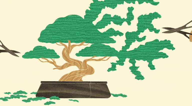 illustration of two hands trimming a bonsai tree with scissors