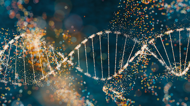 Illustration of DNA genome