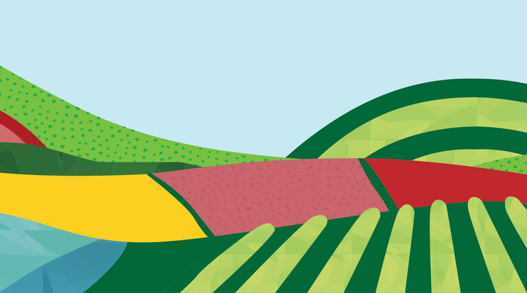 illustration of colorful rolling fields