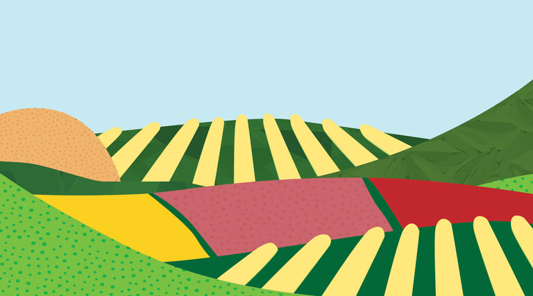illustration of colorful hills and farms