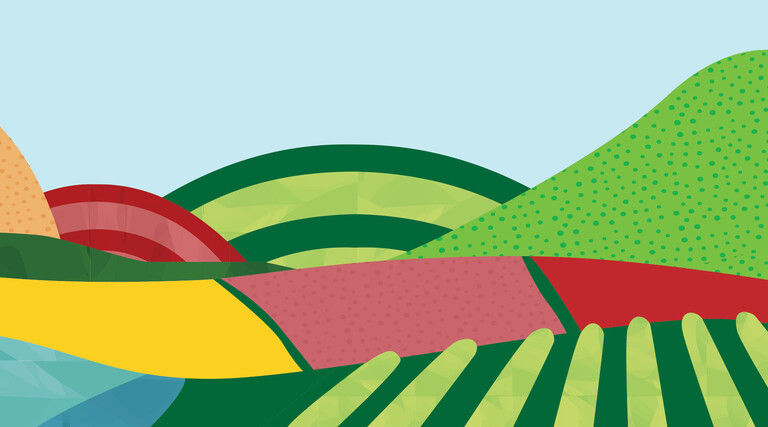 illustration of colorful farms and hills