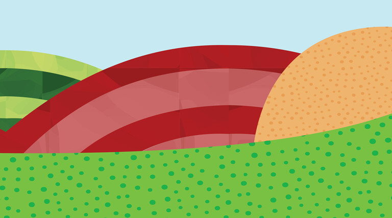 illustration of colorful hills and fields