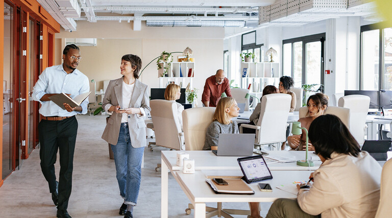 Office workers collaborating it
