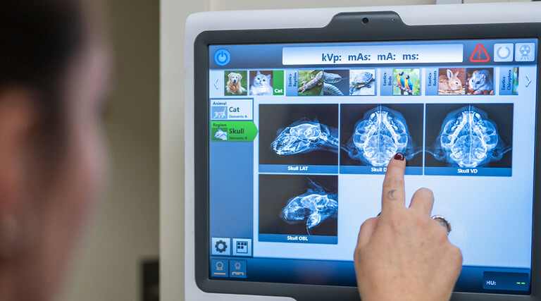 Xray machine in hospital
