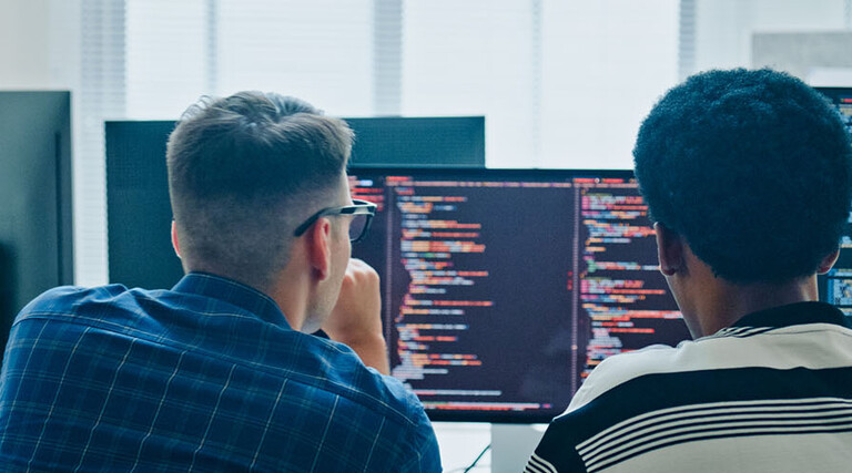 Coworkers coding