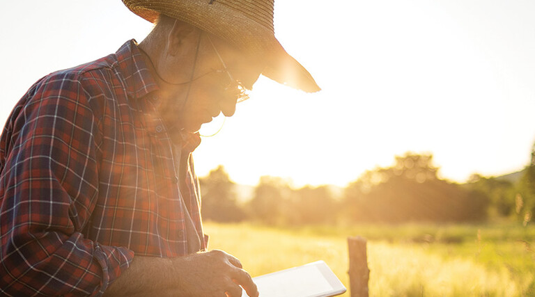 farmer on tablet in field at sunset