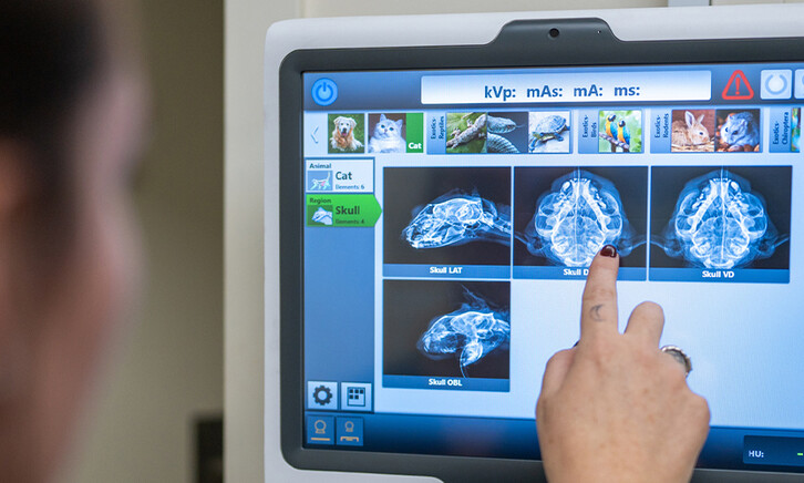 Xray machine in hospital