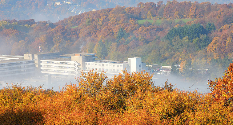 hospital located in foggy valley during fall