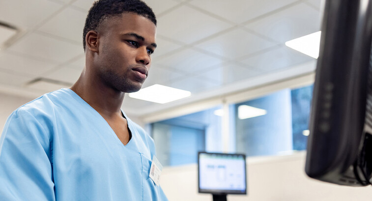 Healthcare worker using the computer