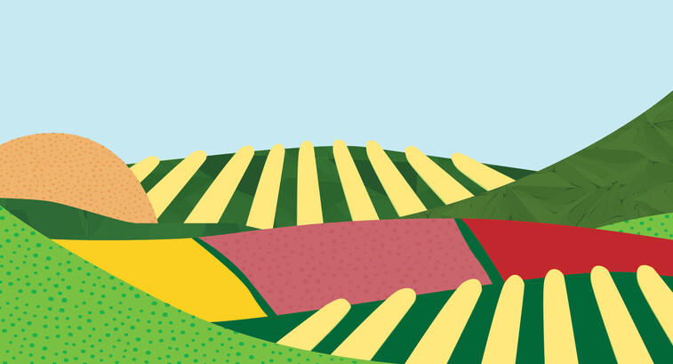 illustration of colorful hills and farms