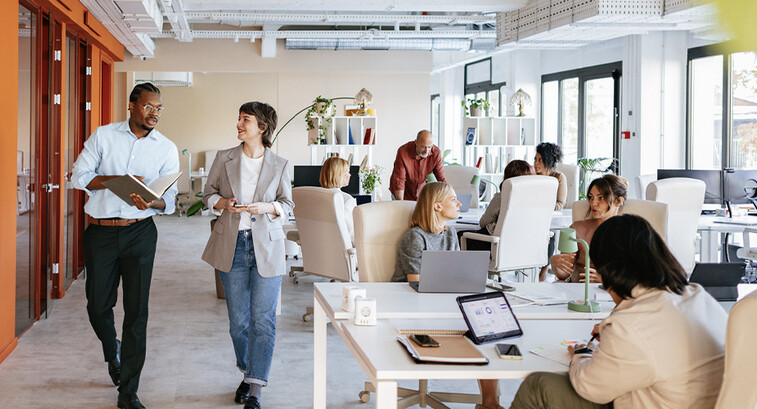 Office workers collaborating it
