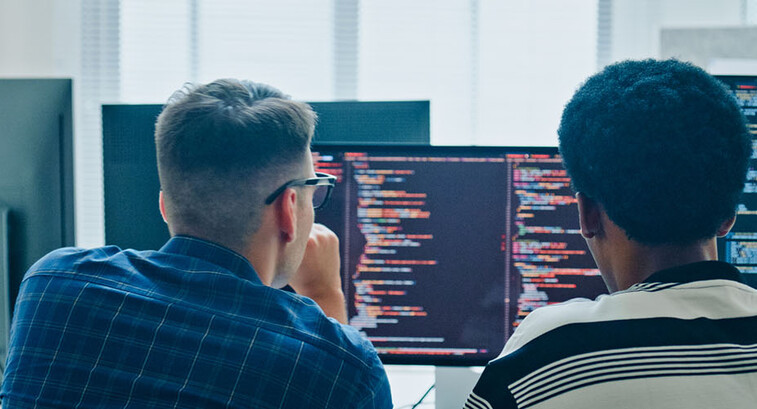 Coworkers coding