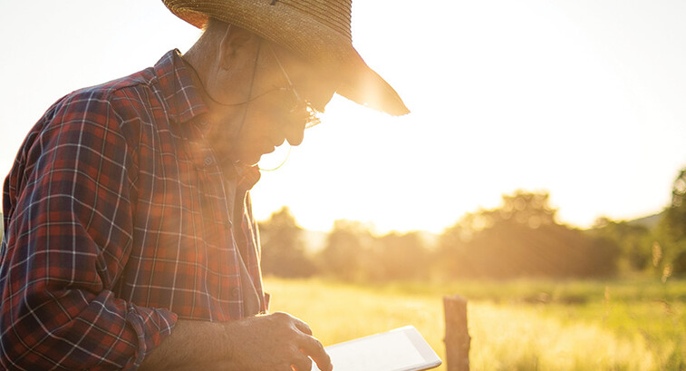 farmer on tablet in field at sunset