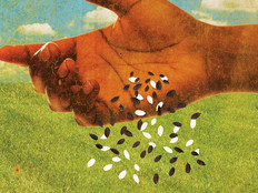Mergers and Acquisitions Seed Planting