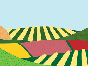 illustration of colorful hills and farms